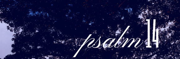 psalm 14.png