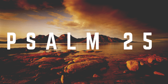 psalm 25